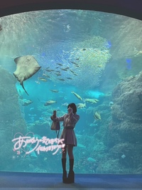 写メ日記 れいな 10/20(月) 04:50