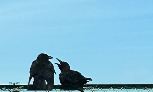 写メ日記 きみか 10/20(月) 14:58