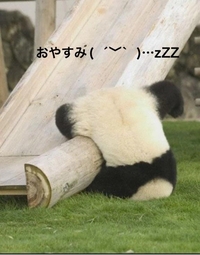 写メ日記 すみ 10/22(水) 20:24