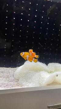 写メ日記 あおい 10/23(木) 22:46