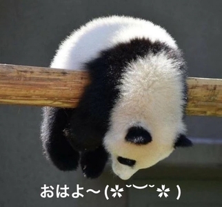 写メ日記 すみ 10/24(金) 06:34