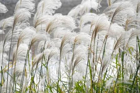 写メ日記 矢田（やだ） 10/24(金) 08:13