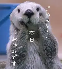 写メ日記 多田朱美 10/25(土) 09:01