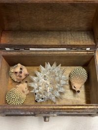 写メ日記 なづな 10/25(土) 18:36