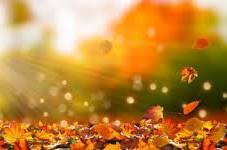 写メ日記 矢田（やだ） 10/25(土) 21:50