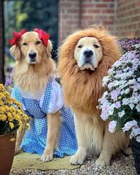 写メ日記 つかさ 10/26(日) 00:29