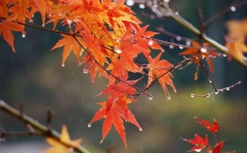 写メ日記 そら 10/26(日) 11:18