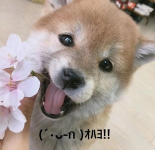 写メ日記 すみ 10/27(月) 06:44