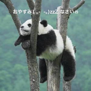 写メ日記 すみ 10/27(月) 20:14