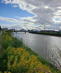 写メ日記 いちか 10/28(火) 18:05