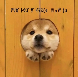 写メ日記 すみ 10/28(火) 20:04