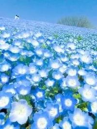 写メ日記 みずほ 10/28(火) 20:48