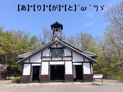 写メ日記 すみ 10/29(水) 15:04