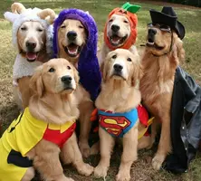 写メ日記 つかさ 10/31(金) 00:29