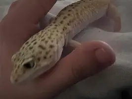 写メ日記 まこと 10/31(金) 15:40