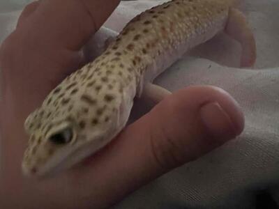 写メ日記 まこと 10/31(金) 15:40