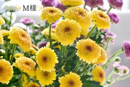 写メ日記 小山真帆 11/1(土) 17:58