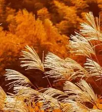 写メ日記 まなみ 11/1(土) 18:42