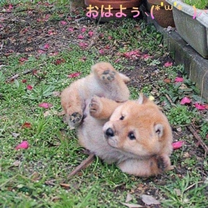 写メ日記 すみ 11/2(日) 07:24