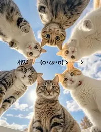 写メ日記 すみ 11/2(日) 20:14