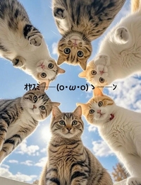 写メ日記 すみ 11/2(日) 20:14