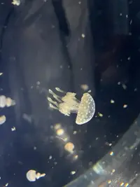 写メ日記 あおい 11/3(月) 08:38