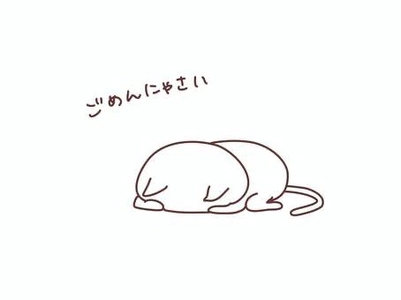 写メ日記 かなみ 11/3(月) 09:04