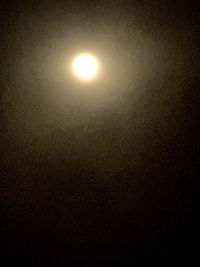 写メ日記 水瀬(みずせ） 11/6(木) 17:31