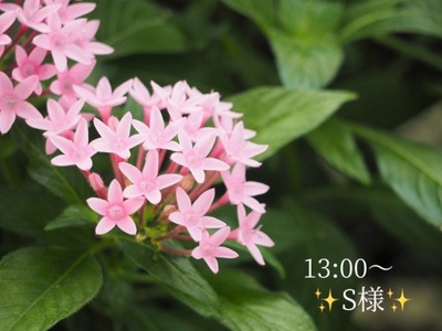 写メ日記 小山真帆 11/6(木) 18:46