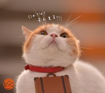 写メ日記 つかさ 11/7(金) 00:27