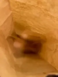 写メ日記 あの 11/8(土) 16:51