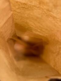 写メ日記 あの 11/8(土) 16:51