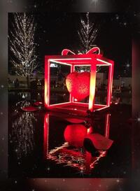 写メ日記 さくらこ 11/8(土) 19:56