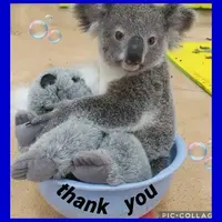 写メ日記 ありす 11/10(月) 15:15