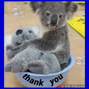 写メ日記 ありす 11/10(月) 15:15