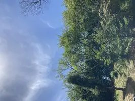 写メ日記 みき 11/13(木) 08:24