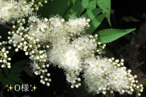 写メ日記 小山真帆 11/13(木) 17:26