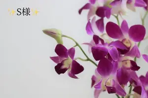 写メ日記 小山真帆 11/13(木) 18:52