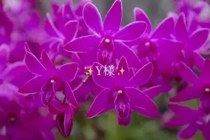 写メ日記 小山真帆 11/13(木) 20:04