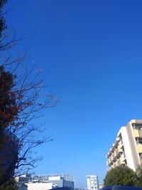 写メ日記 かえ 11/14(金) 14:24