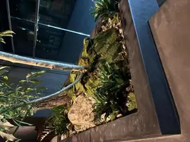 写メ日記 みき 11/15(土) 23:54