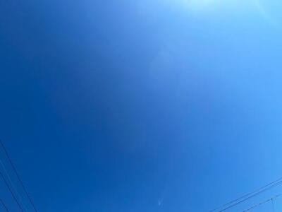 写メ日記 みずき 11/16(日) 11:48