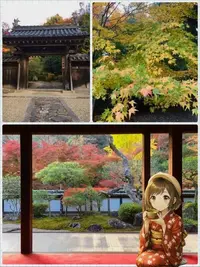 写メ日記 さくらこ 11/16(日) 19:09