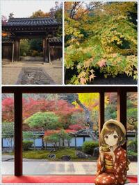 写メ日記 さくらこ 11/16(日) 19:09