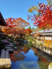 写メ日記 ひろ 11/17(月) 22:32