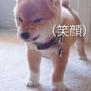 写メ日記 つかさ 11/18(火) 00:30