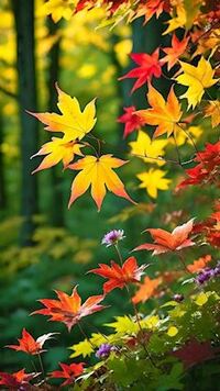 写メ日記 ともこ 11/18(火) 10:11