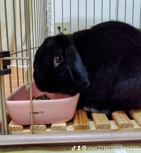 写メ日記 篠原尚美 11/18(火) 10:26