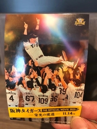 写メ日記 ふみ 11/20(木) 10:54