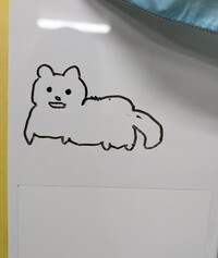 写メ日記 多田朱美 11/20(木) 18:14